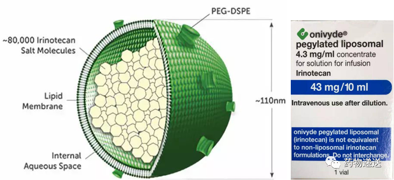 图2 伊立替康脂质体注射液